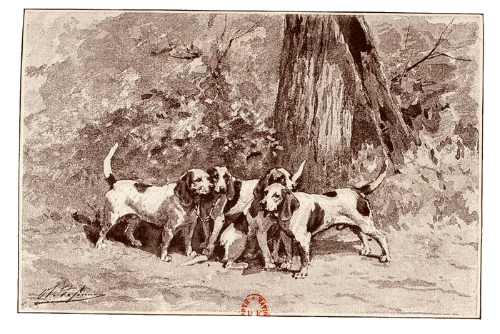 Illustration tirée du Manuel de Vènerie française - Emmanuel Le Couteulx de Canteleu (1890) - Hachette et Cie (Paris) - BnF (Gallica) (9)